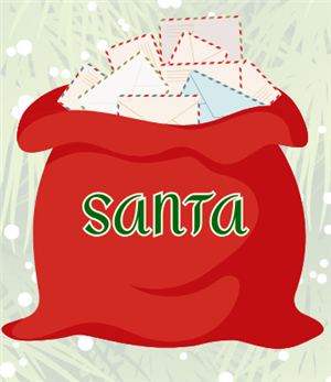Santa Bag